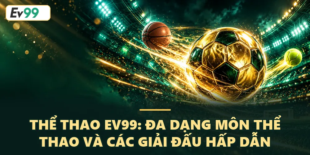 Đa dạng môn thể thao và các giải đấu hấp dẫn